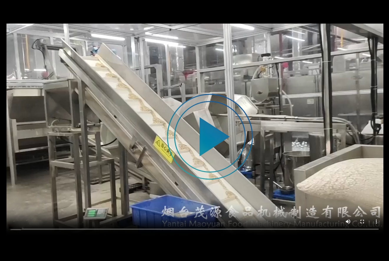 燕麥及堅果入味烘烤生產(chǎn)線