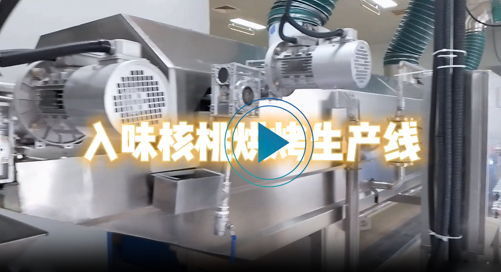 入味核桃烘烤生產(chǎn)線