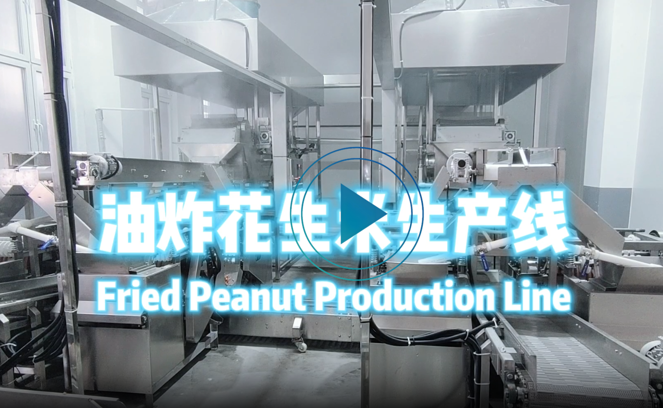 油炸花生生產(chǎn)線